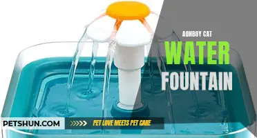 The Benefits of Using an Aonboy Cat Water Fountain