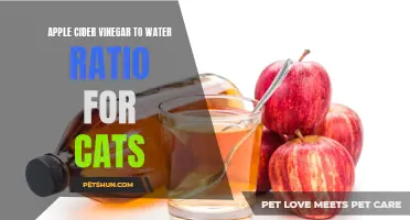 The Ideal Apple Cider Vinegar to Water Ratio for Cats