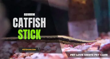 The Fascinating World of Aquarium Catfish Sticks: A Must-Have for Every Fish Enthusiast
