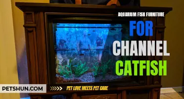 Aquarium Furniture Essentials for Housing Channel Catfish