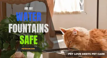Why Cat Water Fountains Are Safe for Your Feline Friend
