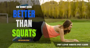 Donkey Kicks vs. Squats: Which Exercise Reigns Supreme?