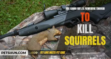 Exploring the Power of Gamo Rifles for Efficient Squirrel Hunting