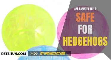 Are Hamster Balls Safe for Hedgehogs? A Guide to Keeping Your Pet Hedgehog Safe and Happy!