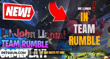 Llamas: An Enigmatic Element in the World of Team Rumble