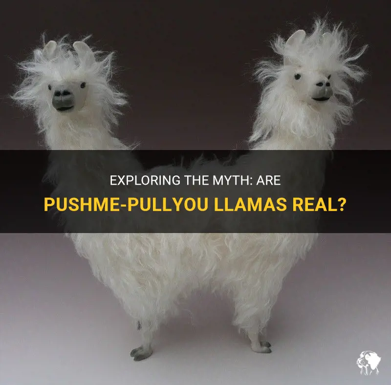 are pushme pull me llamas real