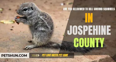 Is it Legal to Kill Ground Squirrels in Josephine County?