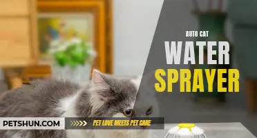 How an Auto Cat Water Sprayer Can Help Keep Your Furniture Safe