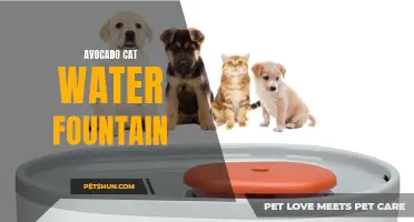 The Benefits of an Avocado Cat Water Fountain for Your Feline Friend