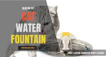 The Ultimate Guide to Choosing the Perfect Beacon Pet Cat Water Fountain