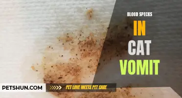 Understanding Blood Specks in Cat Vomit: Causes and Concerns