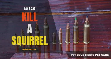 Taking Down Squirrels: Exploring the Lethal Potential of a .223 Caliber Rifle