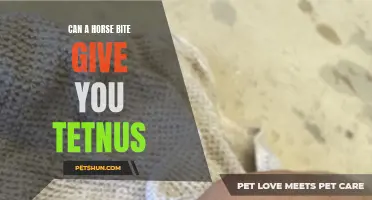 Understanding the Risk of Tetanus Following a Horse Bite