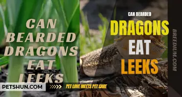 Can Bearded Dragons Eat Leeks? What You Need to Know