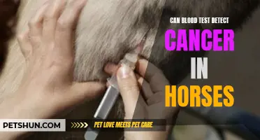 Detecting Cancer in Horses: Can Blood Tests Provide Early Diagnosis?