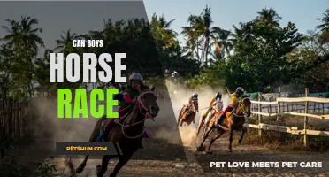 Exploring the Thrills and Challenges of Boys Participating in Horse Racing