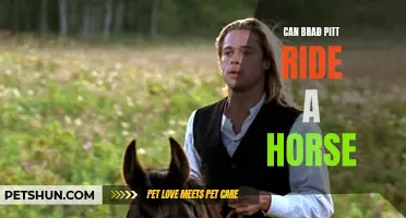 Can Brad Pitt Master the Art of Horseback Riding?