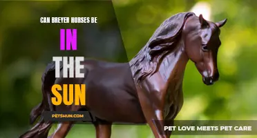 The Effects of Sun Exposure on Breyer Horses: What You Need to Know