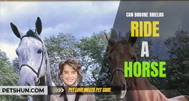 Exploring Brooke Shields' Equestrian Journey: Can She Ride a Horse?