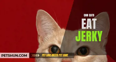 Can Cats Safely Enjoy Jerky as a Treat?
