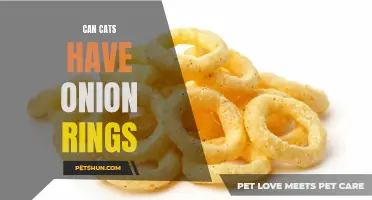 Can Cats Safely Consume Onion Rings?