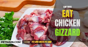 Can Dogs Safely Consume Chicken Gizzards?