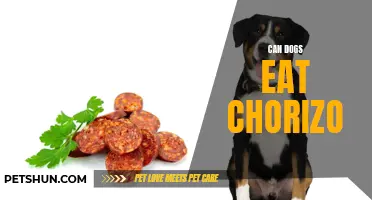 Dogs and Chorizo: Safe or Risky?