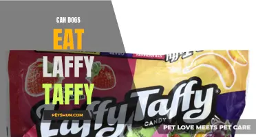 Dangerous for Dogs: Laffy Taffy as a Toxic Treat