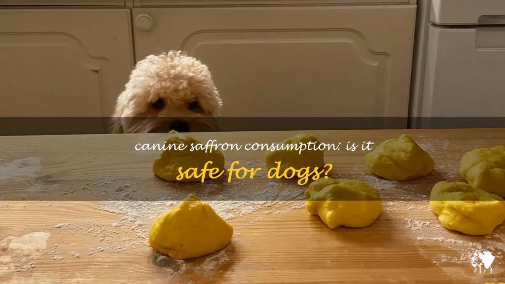 can dogs eat saffron