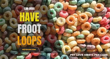 Feeding Froot Loops to Dogs: Risks and Safety Precautions
