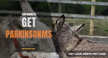 Can Donkeys Get Parkinson's?