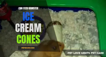 Feeding Your Hamster Ice Cream Cones: Is it Safe?