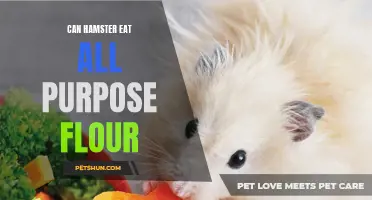 Can Hamsters Eat All Purpose Flour? The Facts You Need to Know
