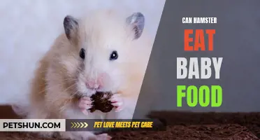Can Hamsters Eat Baby Food? A Guide to Feeding Your Furry Friend