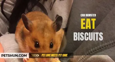 Can Hamsters Eat Biscuits? A Guide to Hamster's Diet