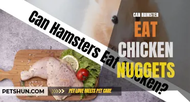 Can Hamsters Eat Chicken Nuggets? The Surprising Truth Revealed