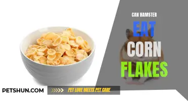 Can Hamsters Safely Eat Corn Flakes as a Treat?