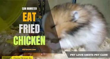 Can Hamsters Safely Consume Fried Chicken?