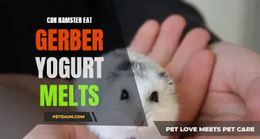 Can Hamsters Eat Gerber Yogurt Melts? Benefits and Risks Explained