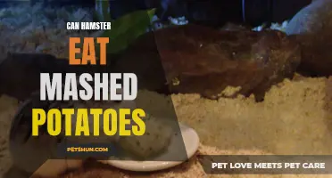 Can Hamsters Eat Mashed Potatoes? A Closer Look at Hamster Diets