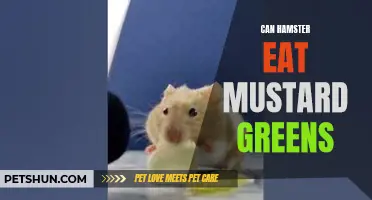 Discover Whether Hamsters Can Safely Consume Mustard Greens