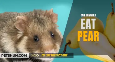 Can Hamsters Eat Pear: A Guide to Feeding Your Pet the Right Fruits
