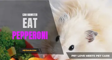 Can Hamsters Eat Pepperoni? Here's What You Need to Know