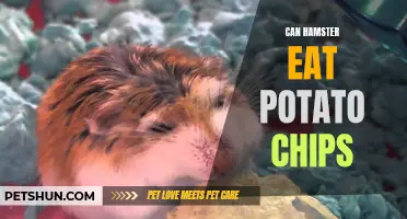 Are Potato Chips Safe for Hamsters to Eat?