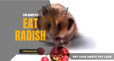 Discover the Surprising Benefits of Feeding Radish to Your Hamster