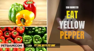 Can Hamsters Eat Yellow Pepper? A Guide to Feeding Peppers to Your Pet Hamster
