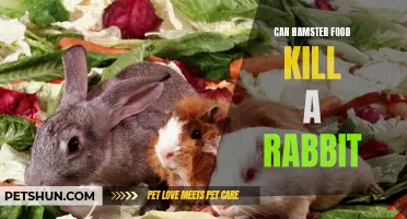 The Potential Dangers of Hamster Food for Rabbits: Can it be Deadly?