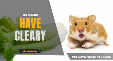 Can Hamsters Have Cleary: Exploring the Feasibility of Including Cleaners in a Hamster's Habitat