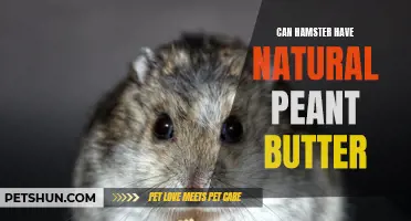 Can Hamsters Have Natural Peanut Butter? A Comprehensive Guide