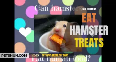 Exploring the Feasibility of Humans Consuming Hamster Treats
